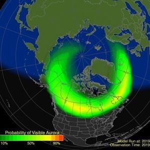 Meet your Posher, Allie